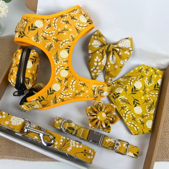 Floral Dog Harness Set: Custom Collar & Leash, No-Pull Vest