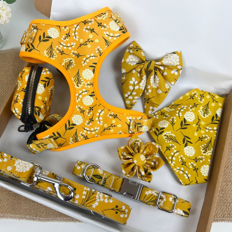 May include: A yellow dog harness with a white floral pattern, a matching leash, a bow tie, a flower, and a poop bag holder.
