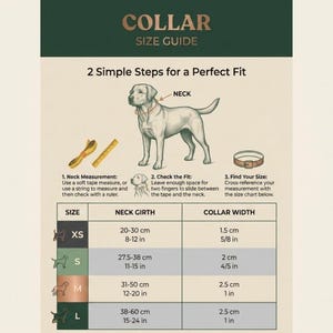 Conjunto de arnés floral para perro, collar y correa personalizados para cachorro, lindo conjunto de ropa de verano para pasear a las niñas, chaleco antitirones, regalo personalizado para perros, herrajes de oro rosa imagen 15