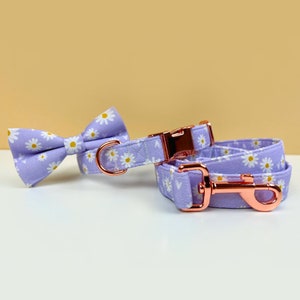 Purple Daisy Dog Collar, Custom Dog Collar, Personalized Dog Collar with Name, Girl Dog Collar, Dog Collar and Leash