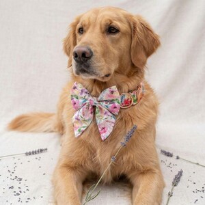 May include: A golden retriever wearing a floral print bow tie and matching collar. The bow tie and collar feature a pattern of pink, purple, and green flowers. The dog is lying down on a white surface.