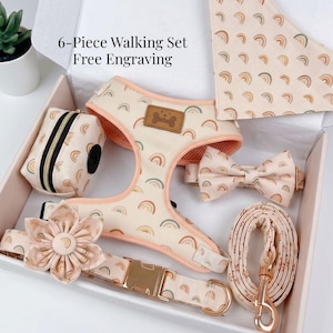 Personalized Boho Rainbow Dog Harness Set with Gold Buckle - 6 Piece Luxury Puppy Gift Box, No Pull Adjustable Harness for Small Medium Dogs