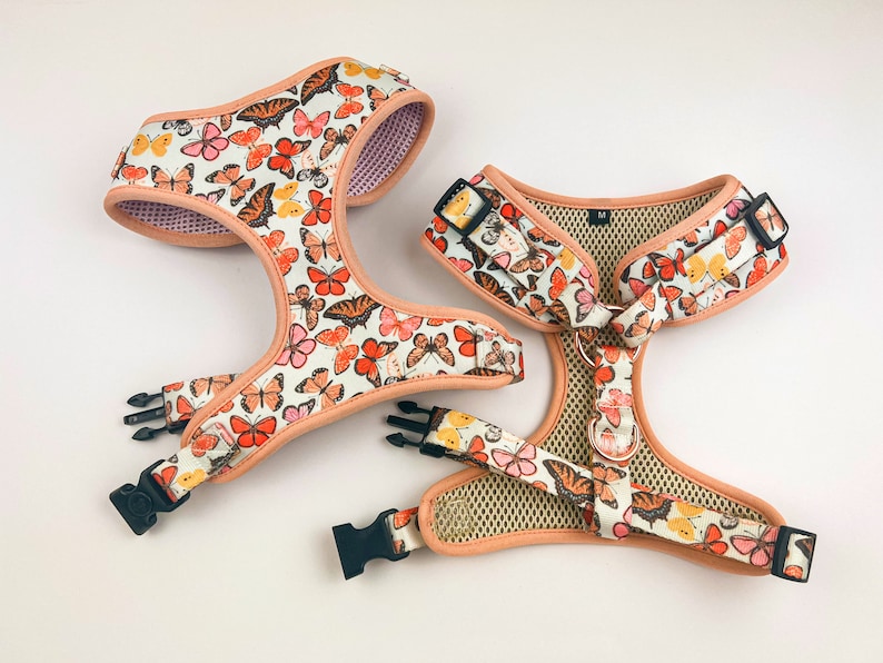 Dog Harness Set Butterfles Puppy Harness Dog Collar and Etsy