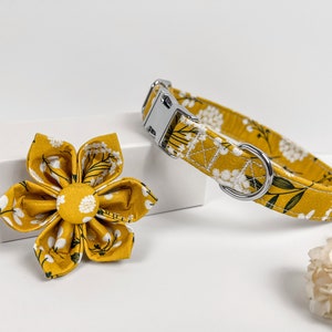May include: A yellow and white floral dog collar with a silver buckle and a matching yellow and white floral flower.