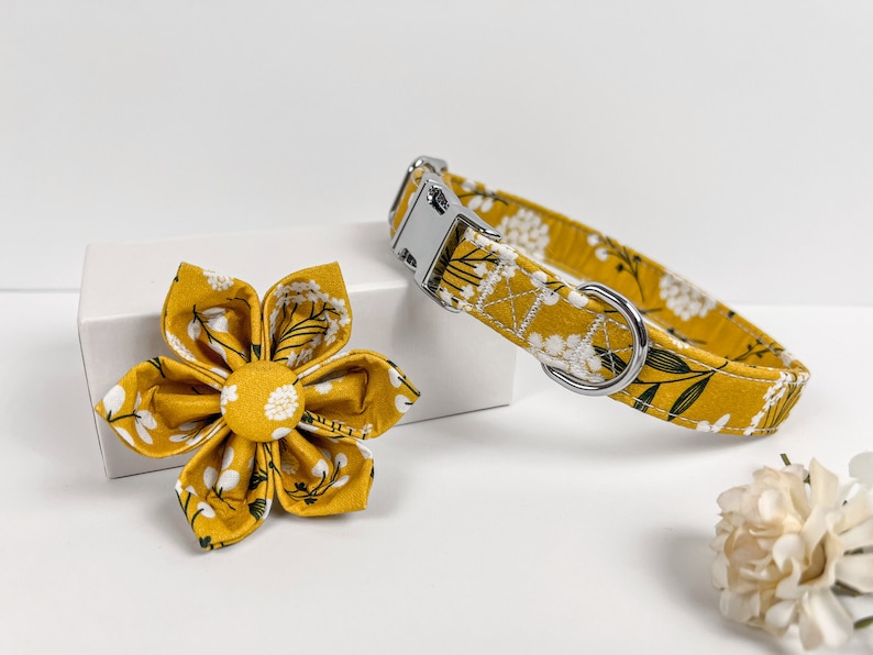 May include: A yellow and white floral dog collar with a silver buckle and a matching yellow and white floral flower.