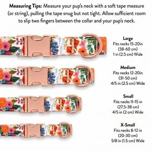 May include: Floral dog collars in four sizes: X-Small, Small, Medium, and Large. Each collar features a rose gold buckle and a D-ring. The collars have a white background with a floral pattern of red, pink, and blue flowers. The image includes measuring tips.