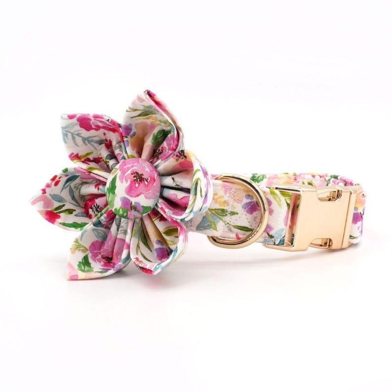 May include: A floral dog collar with a large flower accent. The collar features a white background with pink, purple, and green floral patterns. It has a gold-colored metal buckle and a matching gold-colored metal ring for leash attachment.