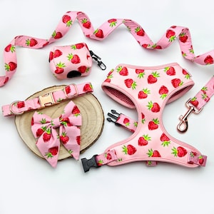 Conjunto para Cães Morango: Coleira Rosa Personalizada, Guia e Laço