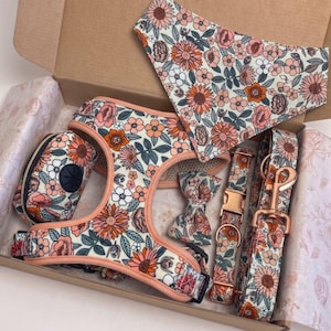 Conjunto de arnés floral para perro, conjunto de collar y correa personalizados para perro, collar con hebilla grabada a medida, arnés floral para perro, juego de soporte para bolsas de excrementos