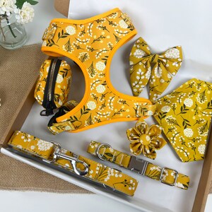 May include: A yellow dog harness with a floral pattern, a matching leash, a poop bag holder, a bow tie, a bandana, and a flower-shaped dog collar.