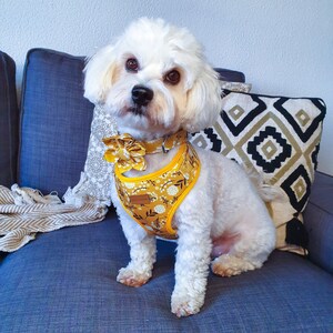 May include: A white dog wearing a yellow floral dog harness with a matching bow tie. The dog is sitting on a gray couch.