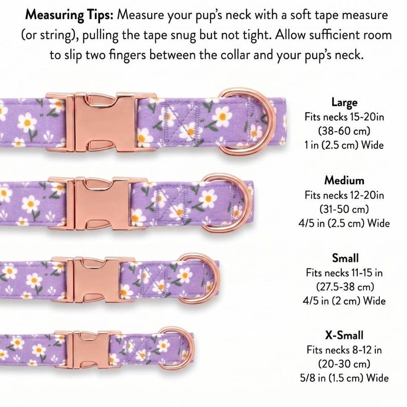 May include: Four lavender dog collars with white daisy patterns and rose gold hardware. Sizes include X-Small (8-12 in neck), Small (11-15 in neck), Medium (12-20 in neck), and Large (15-20 in neck). The image includes measuring tips.