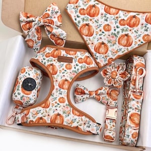 May include: A pet accessory set featuring a pumpkin and floral print on a white background. The set includes a harness, a leash with a rose gold clasp, a collar with a bow tie, a waste bag dispenser, a hair bow, and a triangular bandana.