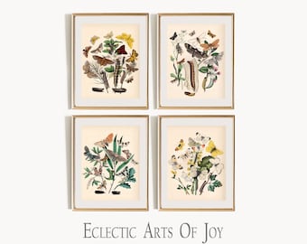 Zestaw wydruków artystycznych „Motyle”: ilustracja botaniczna, styl vintage (zestaw 4 szt.)