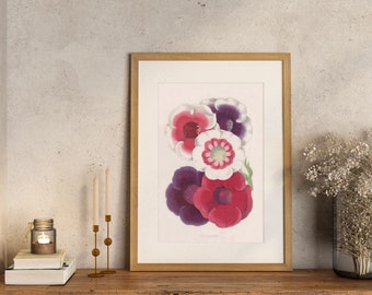 Botanical Floral Art Print, Flower Poster, Victorian Floral Wall Decor, Bedroom/Living Room Wall Art, Home Decor, Vintage Gloxinia Prints