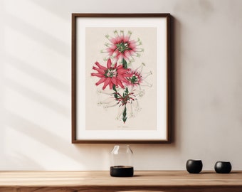 Erica Flower Botanical Art Print: Victorian Floral Wall Decor