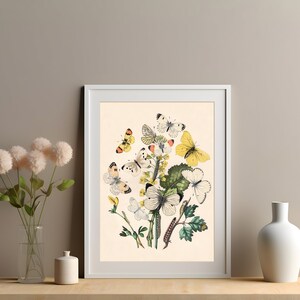 Vintage Butterfly Poster, Butterflies, Botanical Illustration Art Print, Moth Wall Art, Bedroom Wall Decor, Butterfly Art Print Gift Idea