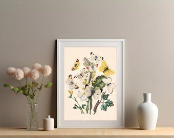 Vintage Butterfly Poster, Butterflies, Botanical Illustration Art Print, Moth Wall Art, Bedroom Wall Decor, Butterfly Art Print Gift Idea
