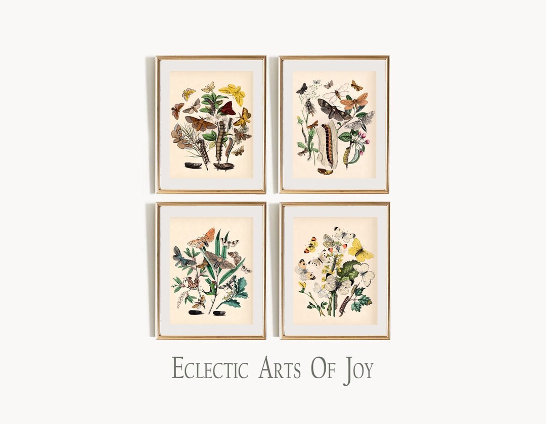 Butterfly Art Print Set: Botanical Illustration, Vintage Style (set of ...