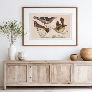 Vintage Bird Art Print Gallery Wall Art Light Academia Print Neutral Bird Picture Vintage Aesthetic Antique Cottagecore Art Farmhouse Decor