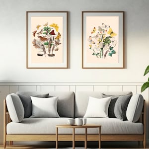 Pair Of Butterfly Posters, Butterflies, Botanical Illustration Art Print, Moth Wall Art, Bedroom Wall Decor, Butterfly Art Print Gift Ideas