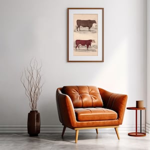 Cow Wall Print, Vintage Cow Wall Art, Cattle Poster, Farmhouse Wall Decor, Cow Art Print, Wall Decor, Farmer Gift, Home Decor, FAST DELIVERY