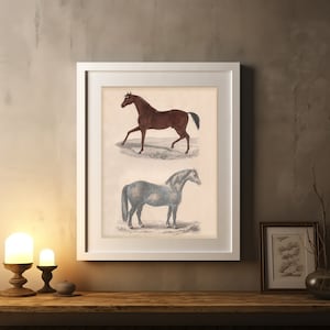 Horse Art Print, Equestrian Wall Print, Farmhouse Wall Decor, Horse Poster, Vintage Horse Picture, Home Decor, Living Room Decor, Horse Art
