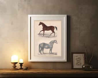 Stampa artistica di cavalli d'epoca: arredamento equestre per fattoria