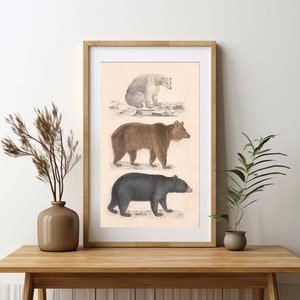 Stampa artistica dell'orso Poster vintage dell'orso bruno Stampa da parete dell'orso polare Orso rustico Arte da parete per la cameretta dell'orso Regalo dell'orso Decorazione da parete della fattoria Cottagecore