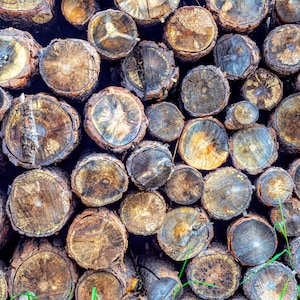 May include: A pile of stacked, round, wooden logs with a variety of brown and gray colors. The logs are arranged in a random pattern, creating a rustic and natural texture.