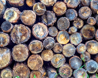 Cut Log Print, Rustic print of Stacked Logs, Log Pile Print, Wood Wall Art, Stacked Log Photo
