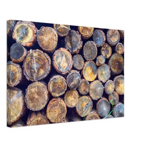 Rustikaler Holzstapel Leinwanddruck: Colorado Berge Holzwandkunst