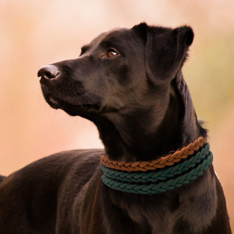 Dog Collar and Leash Set, Paracord Dog Collar, Paracord Pet Leash, Large Dog Collar, Woven Dog Collar, Waterproof Dog Collar, Pet Gifts image 8
