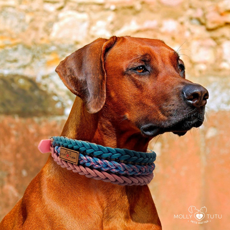 Dog Collar and Leash Set, Paracord Dog Collar, Paracord Pet Leash, Large Dog Collar, Woven Dog Collar, Waterproof Dog Collar, Pet Gifts image 4