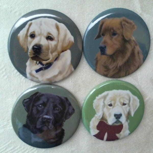 Vintage Round Magnets (Lot of 4)/Magnets of Beautiful Labrador Pictures/Labrador Dogs/Black Lab/White Lab/Golden Lab