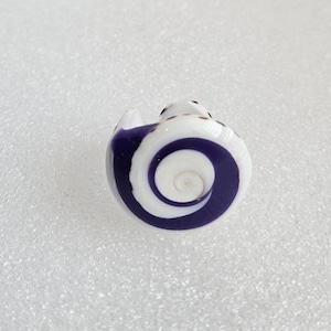 May include: A small, decorative ring with a spiral design. The ring features a white and dark blue color scheme, with the spiral pattern prominently displayed. The ring is likely made of ceramic or glass.
