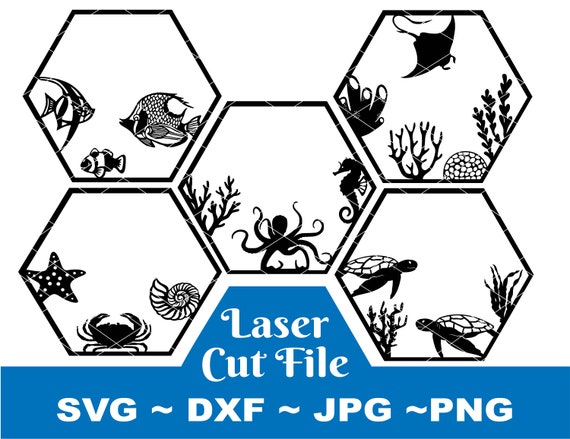 Sea creatures bundle SVG, Sea animal Laser Cut File, Ocean Animal SVG, Hexagon SVG,