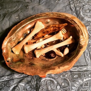 May include: A seashell bowl filled with various items, including bones, a small stone, and a dice. The bowl is made of a natural material with a brown and iridescent finish.