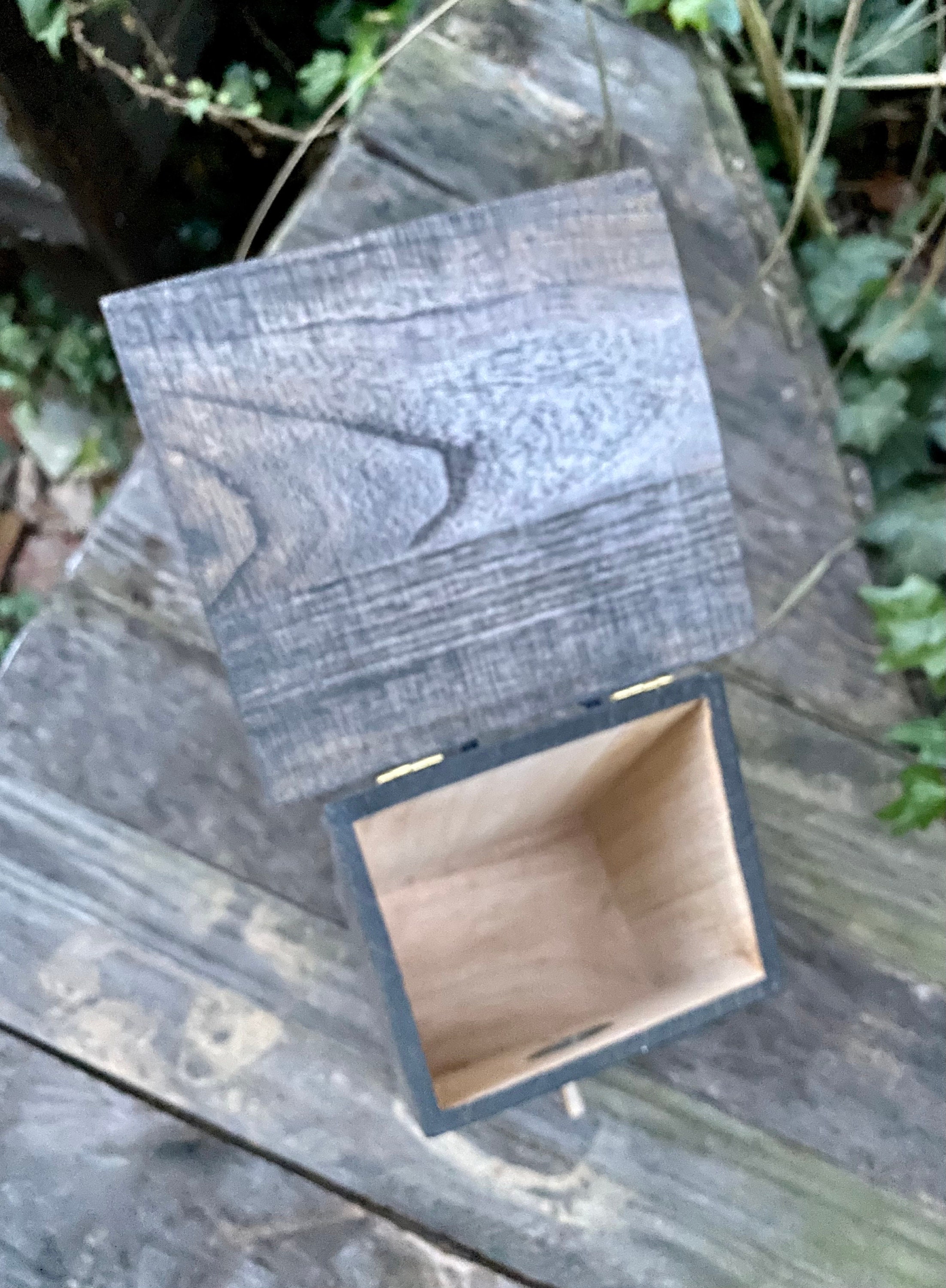 The Pigeon Classic Ring Birdhouse / Ring Camera Etsy