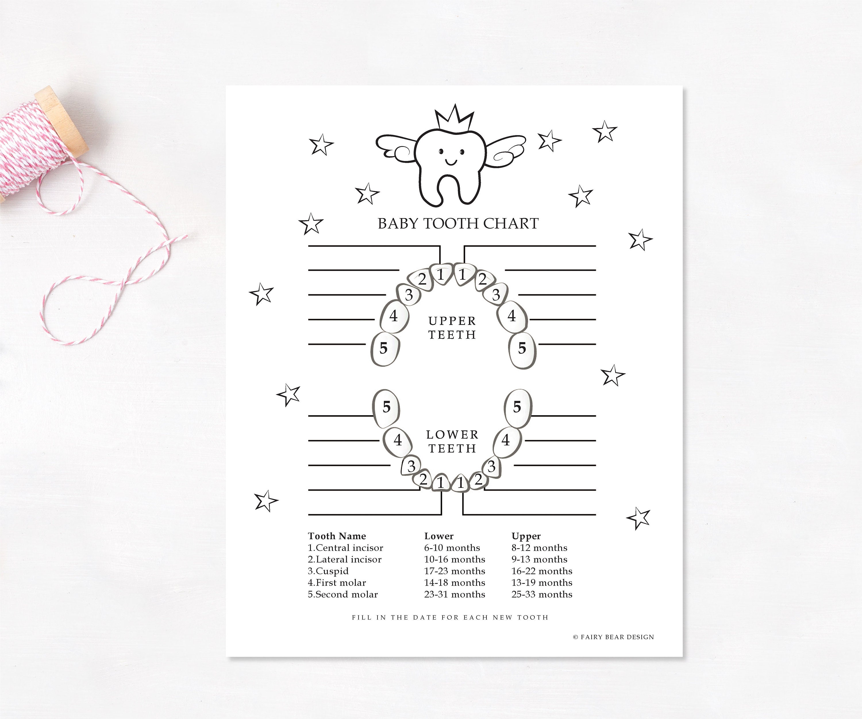 Baby Tooth Chart Etsy Uk