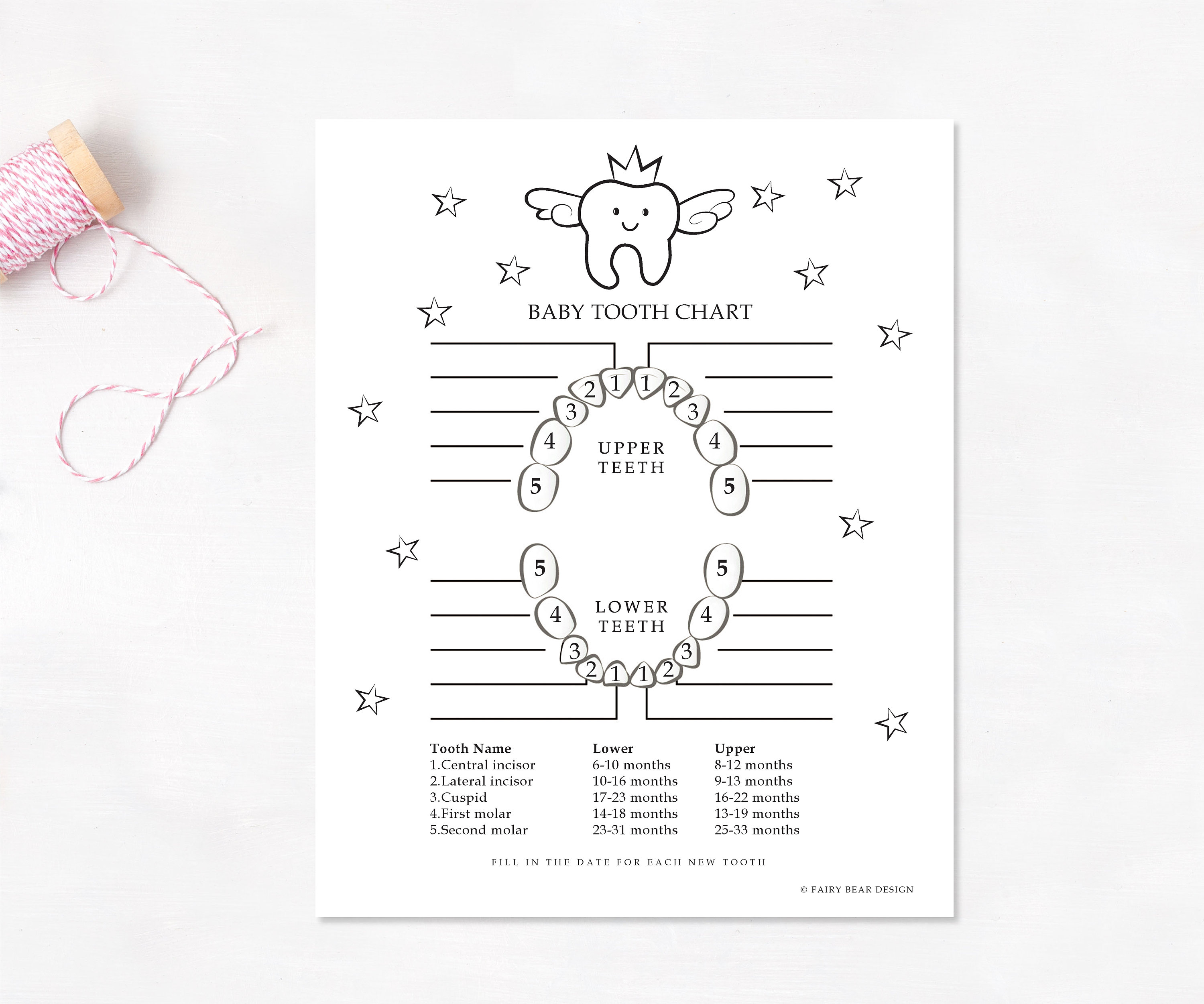 Baby Teeth Chart With The Tooth Fairy Printable Tooth 55 OFF baby-teeth-chart-with-the-tooth-fairy-printable-tooth-55-off