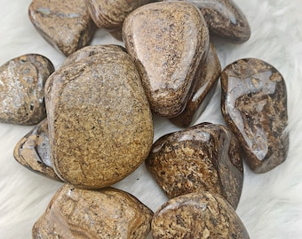 Bronzite Lg Tumbled Stones (985)