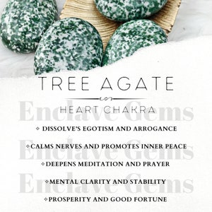 Tarjeta de información de cristal de ágata de árbol imprimible Tarjetas de significado de cristal Descargar PDF PNG Tarjeta de propiedades de piedras preciosas Descarga de información de piedras preciosas