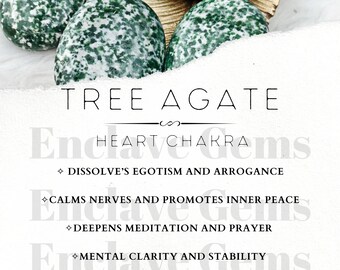 Printable Tree Agate Crystal Information Card Crystal Meaning Cards Download PDF PNG Gemstone Properties Card Gemstone Information Download