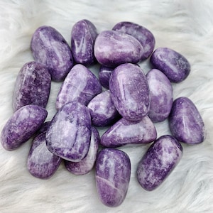 Lepidolite Tumbled Stone (981)