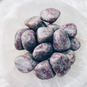 2pc Pink Tourmaline in Quartz Tumbled Stones Pink Tumbles Self Love Healing Crystal Protection Stone Tourmaline Gridwork Crystal Decor