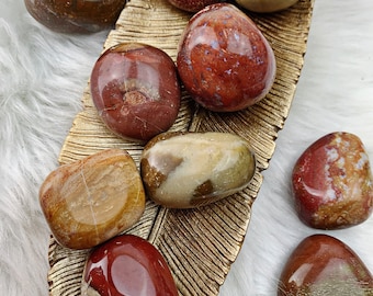 May include: A collection of eight smooth, polished, red and brown jasper stones, arranged on a gold leaf-shaped tray. The stones are various shades of red, brown, and white, with intricate patterns and swirls.