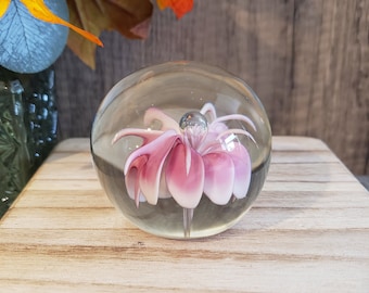 Vintage Murano Style Glass Paperweight: Pink & White Flower Bullicante