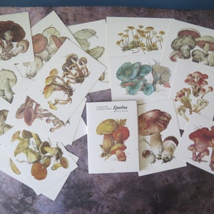 Juego de tarjetas de hongos de 16, ilustraciones de la URSS, tarjetas de hongos coleccionables vintage de 1986 #813-11