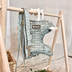 May include: A green dog harness with a white pattern that says "Mama's Boy" and a gold metal clasp. The harness is hanging on a wooden rack.
